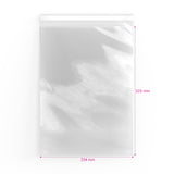 Sacchetti di cellophane (PPO)