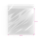 Sacchetti di cellophane (PPO)