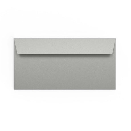 Silberner Briefumschlag 110x220 mm (DL)