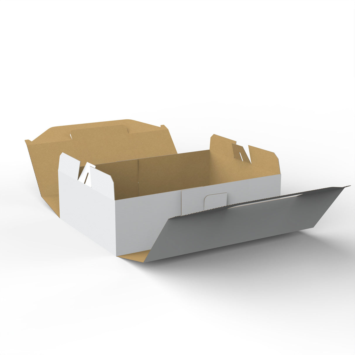 Takeaway Food Boxes