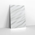 MN6S - Silver Matt Finish Foil Envelopes - Matt Foil Envelopes